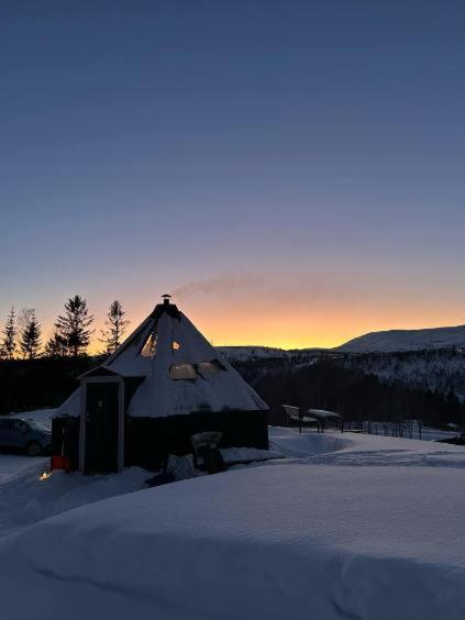 Ufocamp Vårhus Quarto foto