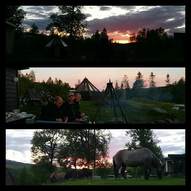 Ufocamp Vårhus Exterior foto